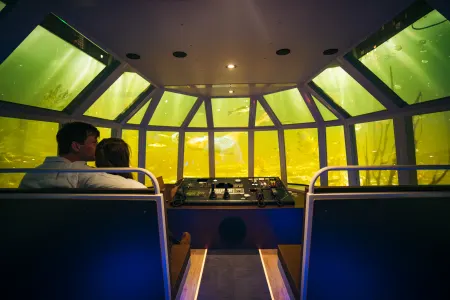 Gallery image 7