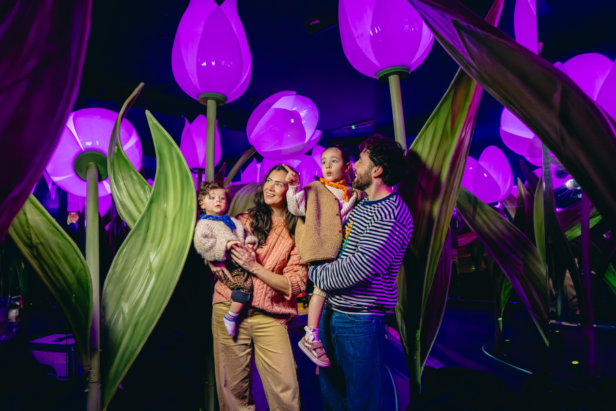 Highlights of Holland