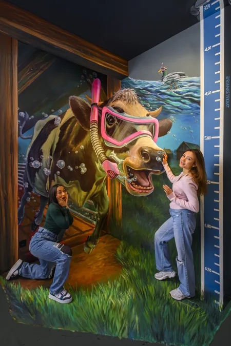 Gallery image 5
