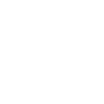 clogs icon